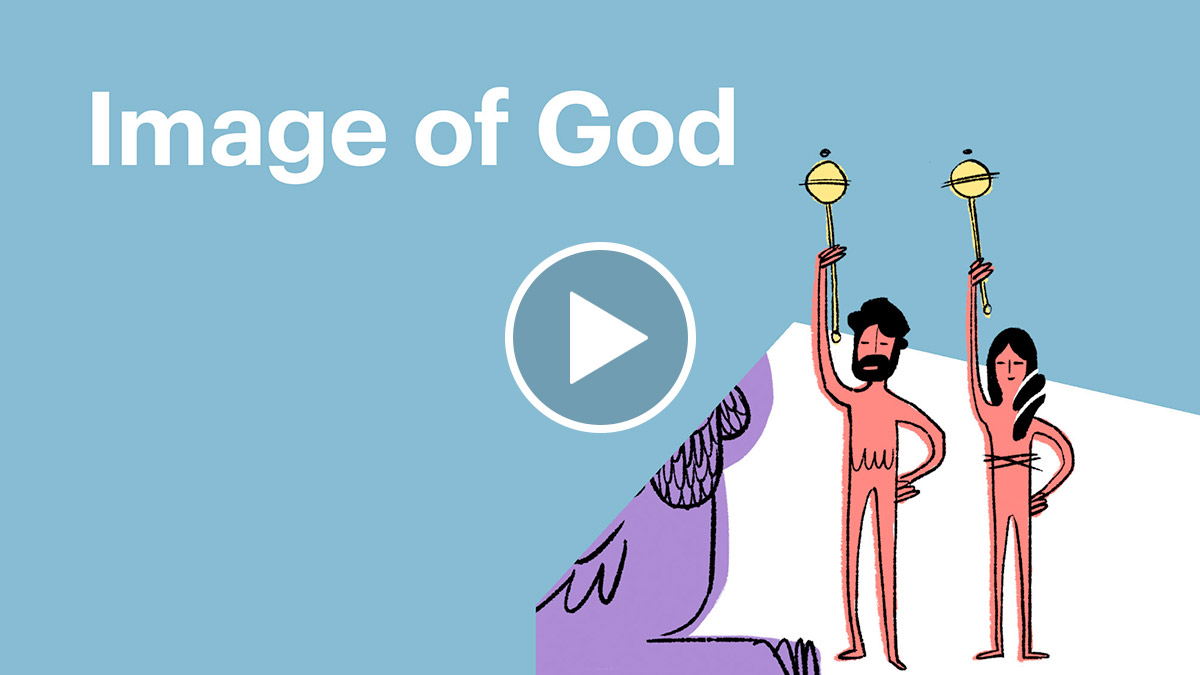 Watch: Image of God